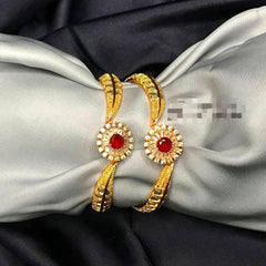 2 Pcs Gold Plated Indian Design Kara Bangles with Red Gemstone